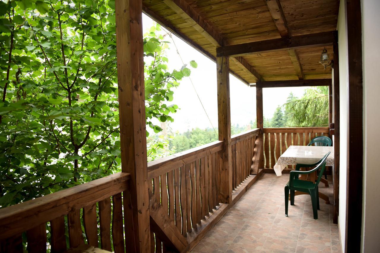 Готель Casa Edy Колібіца Екстер'єр фото